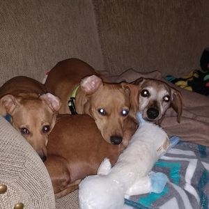 Meet your Posher, Nancy